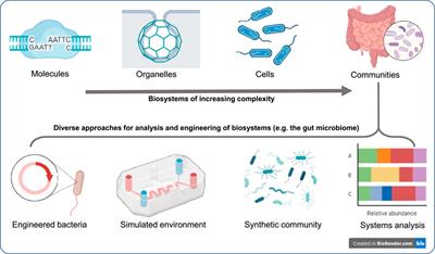 Editorial: Next-generation quantitative and synthetic biology: High-sensitivity, high-accuracy, and digital approaches